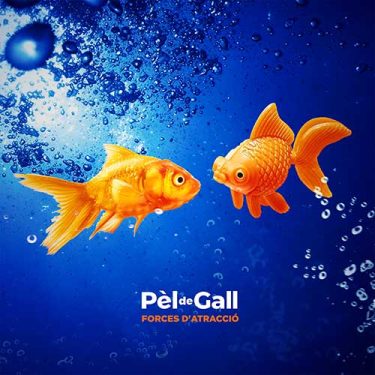 PdGforcesdatraccio PdGforcesdatraccio