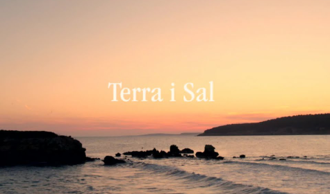 terraisal